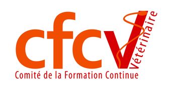 logo cfcv
